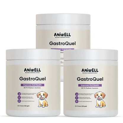 Aniwell Gastroquel for Dogs: a New Age Natural Solution for Gut Health, Diaerhea & Bowel Support