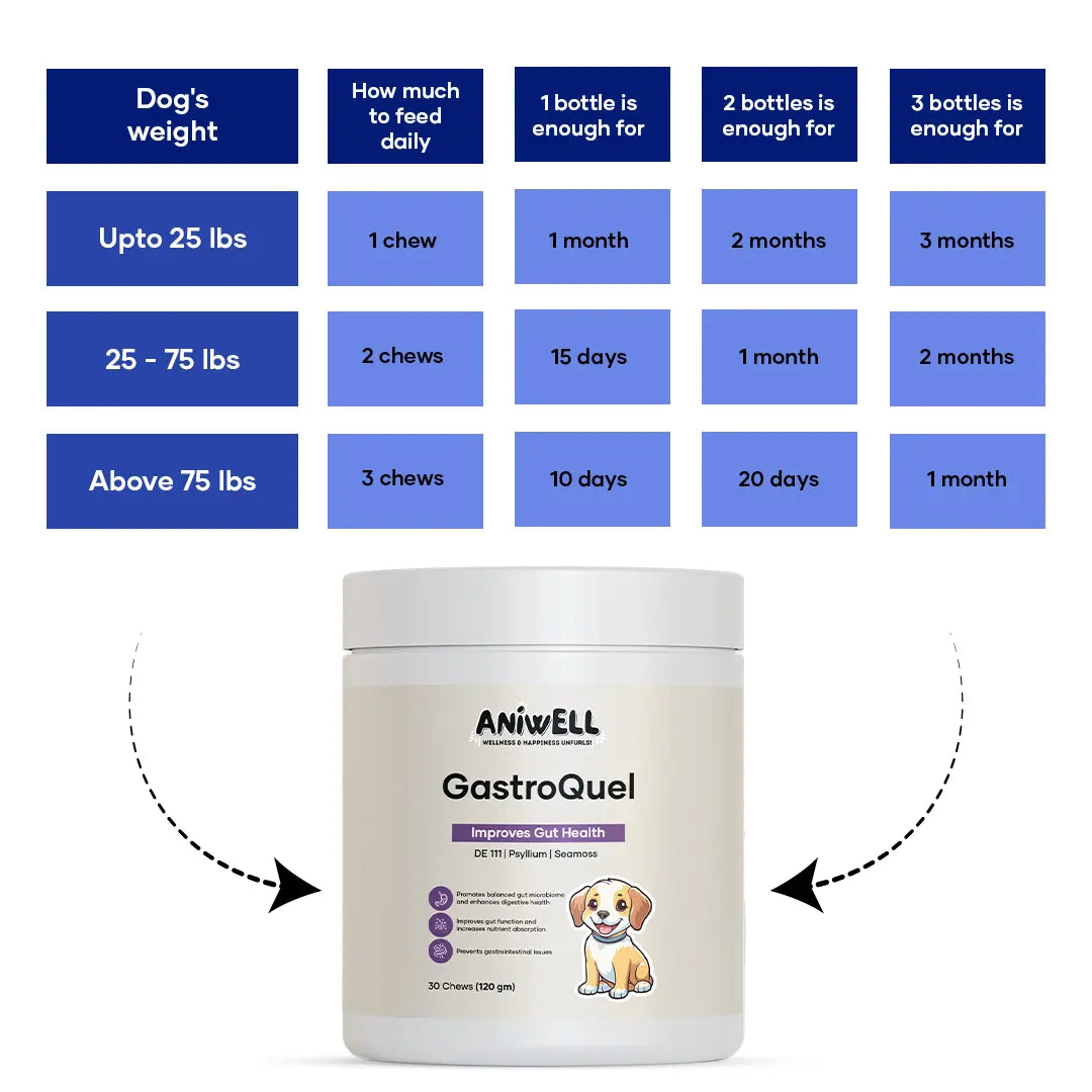 Aniwell Gastroquel for Dogs: a New Age Natural Solution for Gut Health, Diaerhea & Bowel Support
