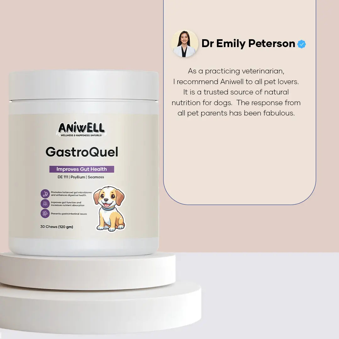 Aniwell Gastroquel for Dogs: a New Age Natural Solution for Gut Health, Diaerhea & Bowel Support
