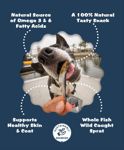 Plato Wild-Caught Baltic Sprat Dog Treats | Single-Ingredient Whole Fish | Omega-3 Skin & Coat Support | Grain-Free Air-Dried | 3Oz & 7.5Oz