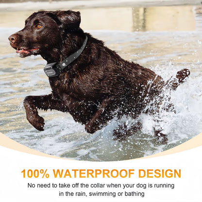 Remote Control Waterproof Pet Behaviorfor 8-150Lbs Puppy with Shock Vibration 3300Ft Electric Dog Training Collar for All Dogs