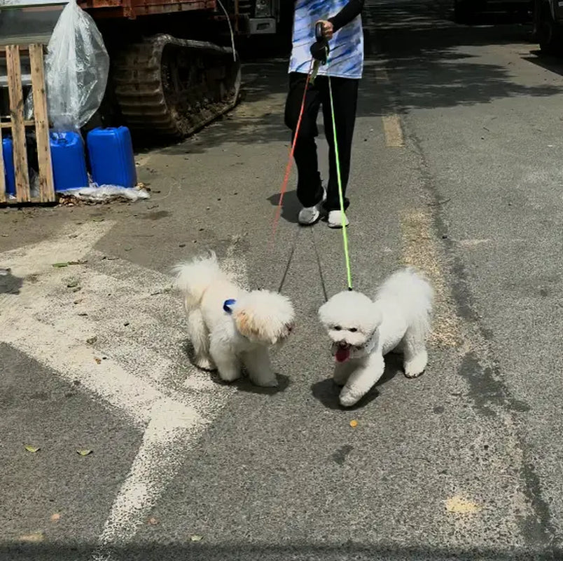 Tangle Free 2 Dog Leash for Smal & Medium Dogs