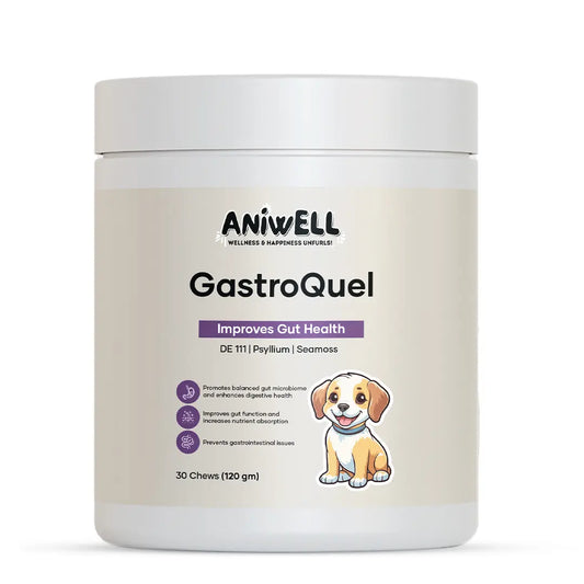 Aniwell Gastroquel for Dogs: a New Age Natural Solution for Gut Health, Diaerhea & Bowel Support