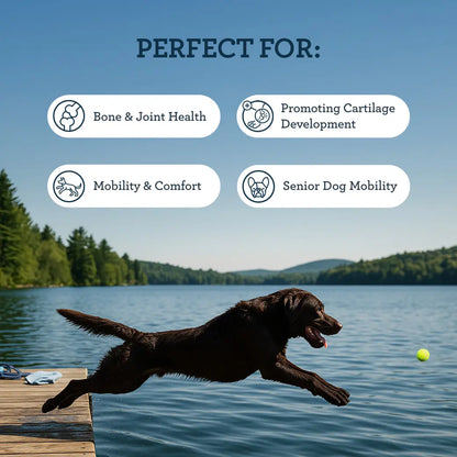 Kradle Hip & Joint Duo for Dogs | Hip & Joint Chews (75 Ct) with Hip and Joint Spray (4 Oz)