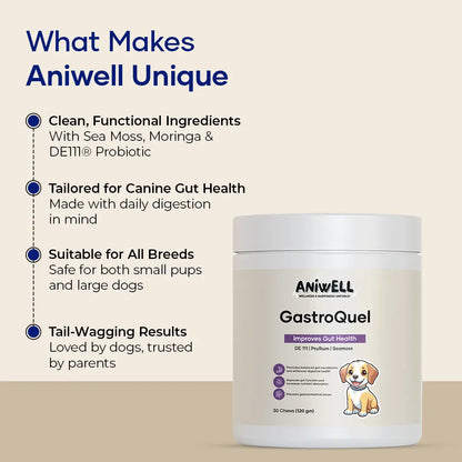 Aniwell Gastroquel for Dogs: a New Age Natural Solution for Gut Health, Diaerhea & Bowel Support