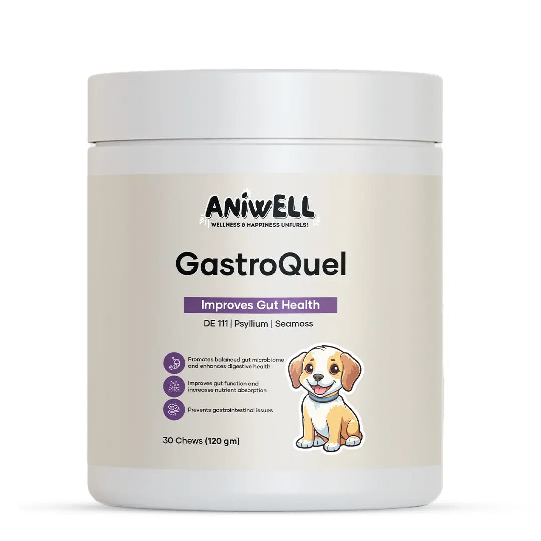 Aniwell Gastroquel for Dogs: a New Age Natural Solution for Gut Health, Diaerhea & Bowel Support