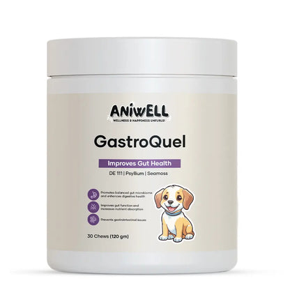 Aniwell Gastroquel for Dogs: a New Age Natural Solution for Gut Health, Diaerhea & Bowel Support