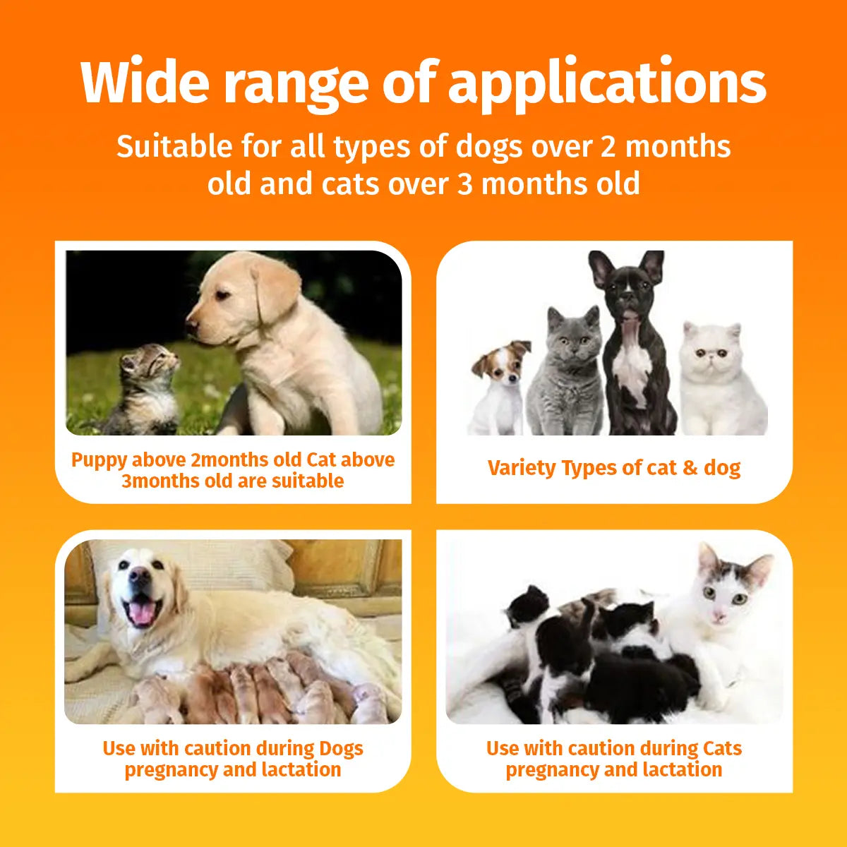 Cassiel Pet HOT SPOT&WOUND Spray,Pet Skin Sprays for Dogs&Cats-Nature Soothing Spray for Clean and Soft Skin,Reduces Itchy Scratching,Packaging Upgrade