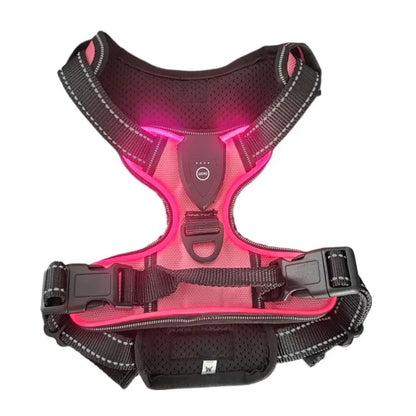 LED Glowing Luminous Dog Harnesses Essential for Dog Walking Safety at Night Dog Vest with Three LED Light Modes Rechargeable Adjustable Safety Harness