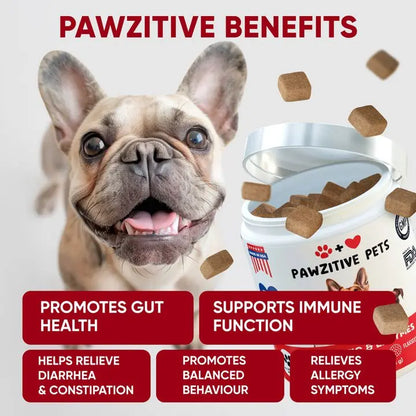 Pre+Probiotics for Dogs Digestive Health – 120 Soft Chews