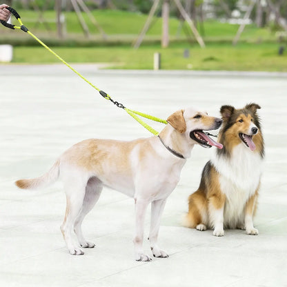 Taigepets Double Dog Leash, Dual Dog Leash, 360° Swivel Tangle Free Bungee Walking Training for Large Medium Dogs, Shock Absorbing Bungee Reflective for Two Dogs Duoleash Tangle Free Leash Doggear Maker Bungeeleash Easy Harness Cuban Link Collar Aut