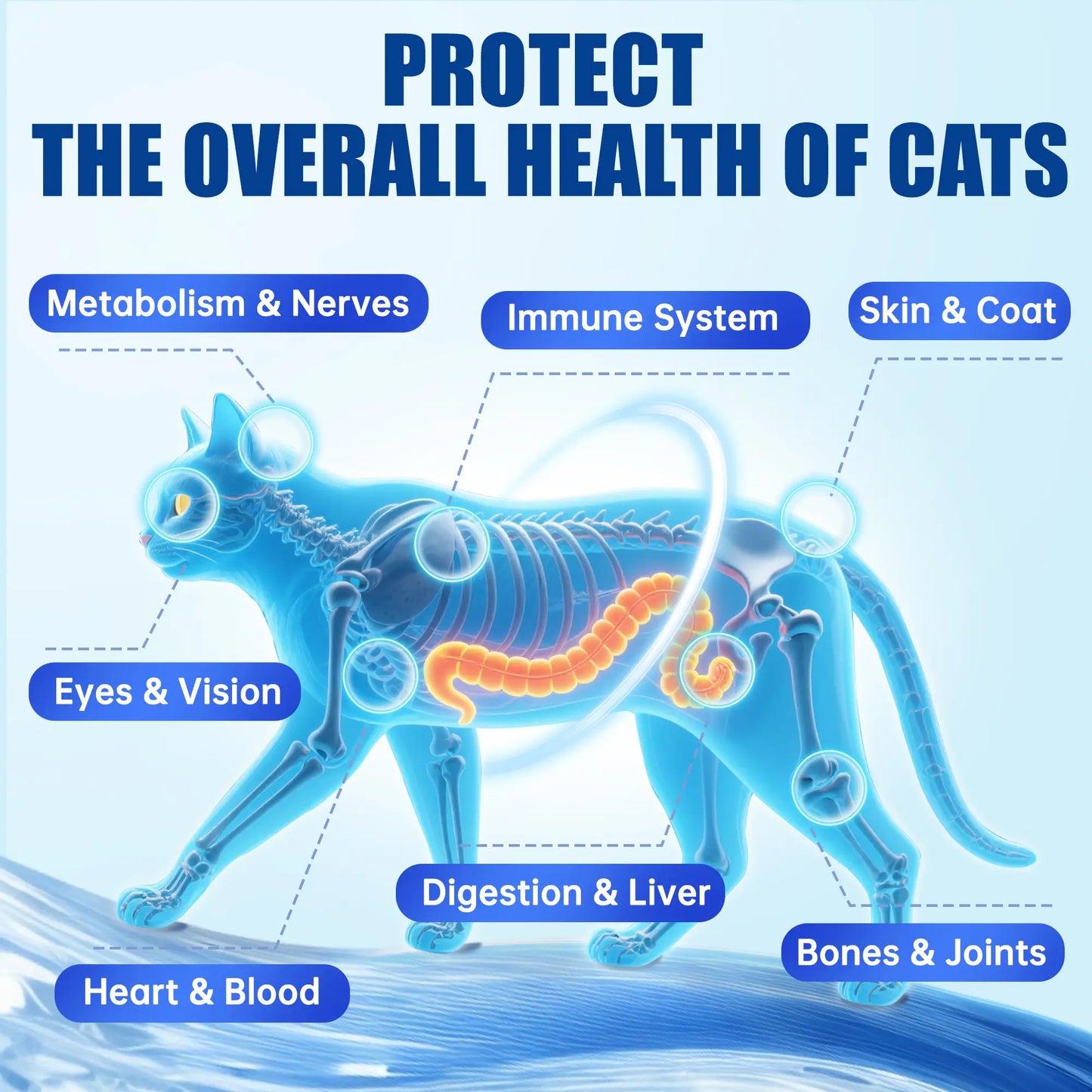 【Live Big Deal】Just Try All-In-One Cat Vitamin Bites for Overall Health Support - Cat Multivitamin with Taurine, L Lysine, Fish Oil for Immune, Heart, Vision & Skin Health - Delicious Soft Chews for Indoor Cats & Kittens