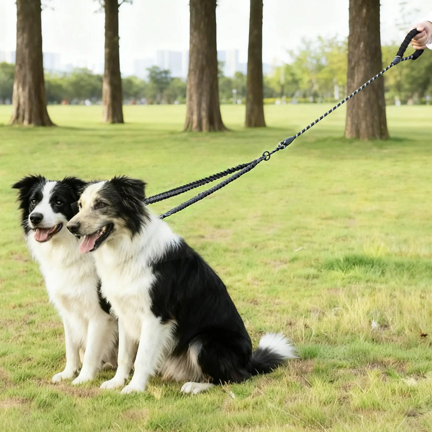 Taigepets Double Dog Leash, Dual Dog Leash, 360° Swivel Tangle Free Bungee Walking Training for Large Medium Dogs, Shock Absorbing Bungee Reflective for Two Dogs Duoleash Tangle Free Leash Doggear Maker Bungeeleash Easy Harness Cuban Link Collar Aut