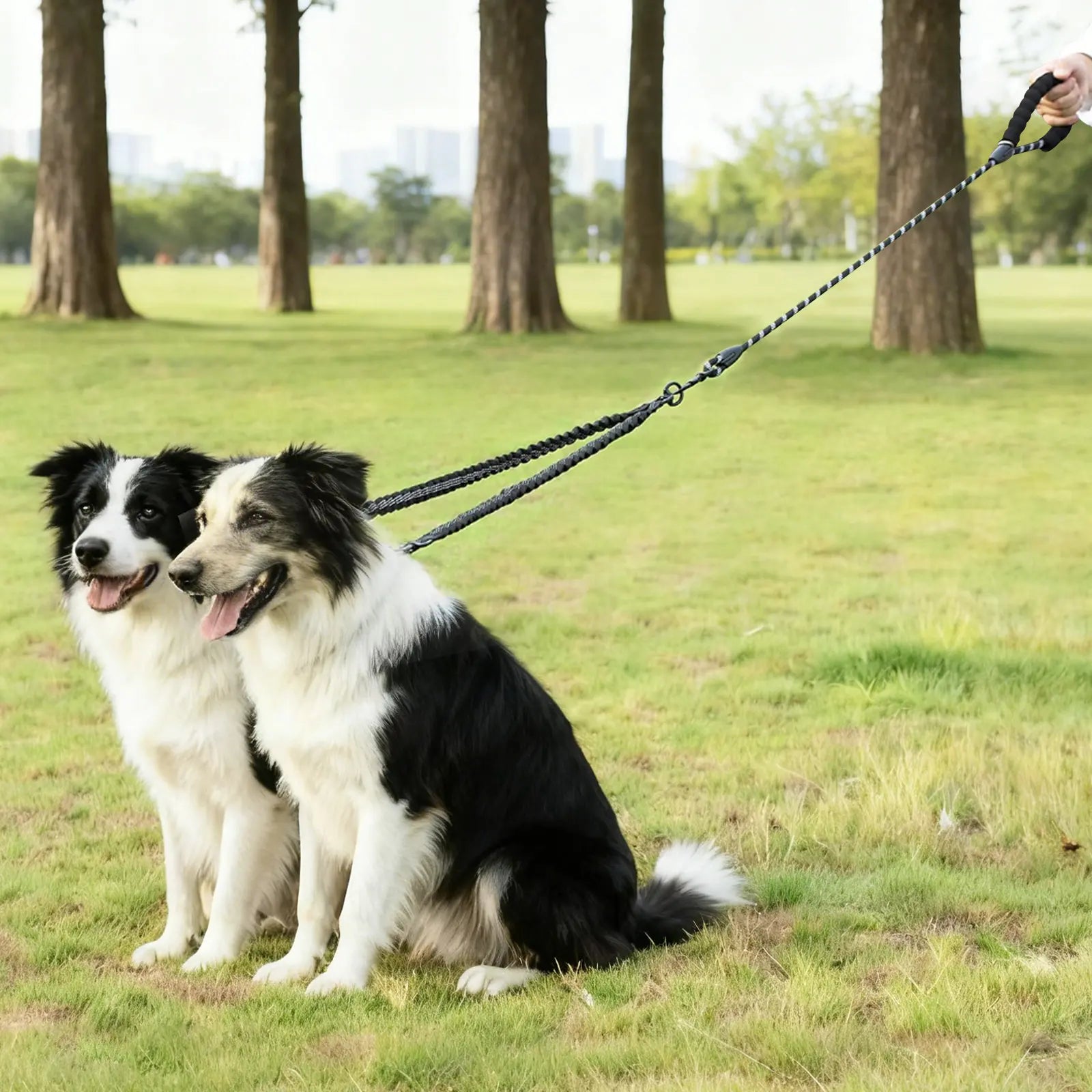 Taigepets Double Dog Leash, Dual Dog Leash, 360° Swivel Tangle Free Bungee Walking Training for Large Medium Dogs, Shock Absorbing Bungee Reflective for Two Dogs Duoleash Tangle Free Leash Doggear Maker Bungeeleash Easy Harness Cuban Link Collar Aut