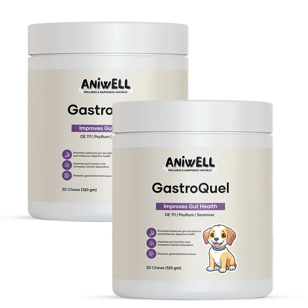 Aniwell Gastroquel for Dogs: a New Age Natural Solution for Gut Health, Diaerhea & Bowel Support
