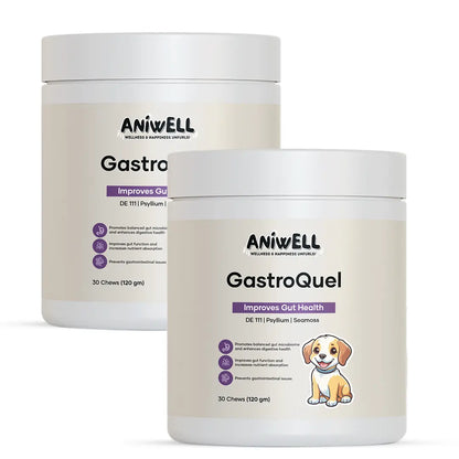 Aniwell Gastroquel for Dogs: a New Age Natural Solution for Gut Health, Diaerhea & Bowel Support