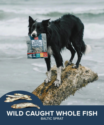 Plato Wild-Caught Baltic Sprat Dog Treats | Single-Ingredient Whole Fish | Omega-3 Skin & Coat Support | Grain-Free Air-Dried | 3Oz & 7.5Oz