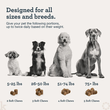 Kradle Hip & Joint Duo for Dogs | Hip & Joint Chews (75 Ct) with Hip and Joint Spray (4 Oz)