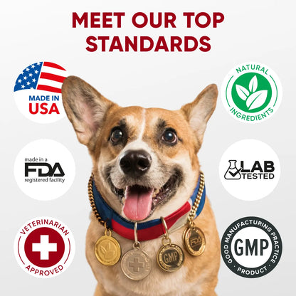 Pre+Probiotics for Dogs Digestive Health – 120 Soft Chews