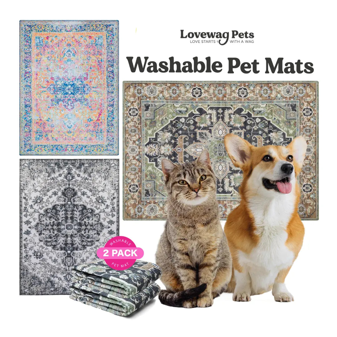 Lovewag Pets Washable Dog Pads - Pack of 2, Eco-Friendly & Leak-Proof Design, Multi-Design Options: Sage Forest, Marmalade Sunshine, Moonlit Night, Rustic Terracotta, 16" X 24" & 36" X 48"& 28" X 41"