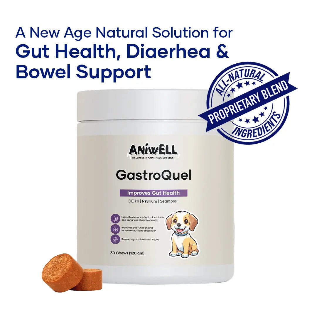 Aniwell Gastroquel for Dogs: a New Age Natural Solution for Gut Health, Diaerhea & Bowel Support