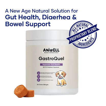 Aniwell Gastroquel for Dogs: a New Age Natural Solution for Gut Health, Diaerhea & Bowel Support