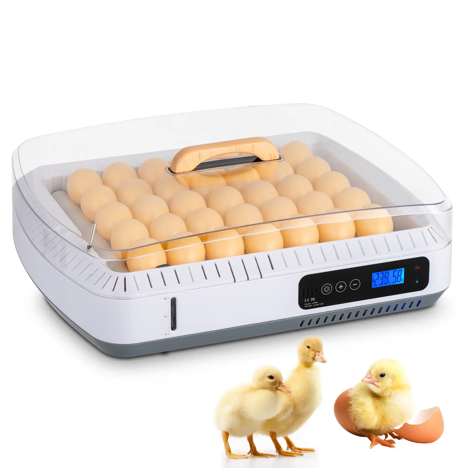 48-Egg Incubator 110V, Fully Automatic with Egg Turner & Temperature/Humidity Control, Clear Lid with LED Candler and Storage, for Hatching Chicken, Duck, Quail Eggs