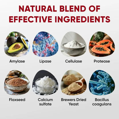 Pre+Probiotics for Dogs Digestive Health – 120 Soft Chews