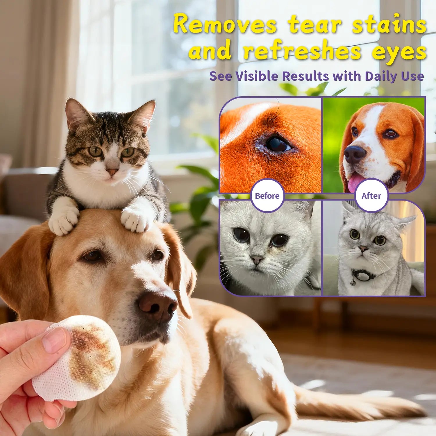 Pawbubble Eye Wipes for Dogs & Cats, Tear Stain Remover for Dogs, Gently Cleans Tear Stains and Debris, Safe for Sensitive Eyes, 120 Counts