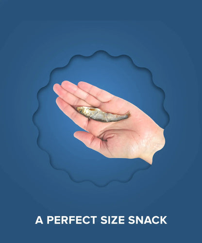 Plato Wild-Caught Baltic Sprat Dog Treats | Single-Ingredient Whole Fish | Omega-3 Skin & Coat Support | Grain-Free Air-Dried | 3Oz & 7.5Oz