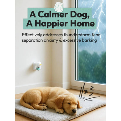 Dog Calming Diffuser Plug-In (1–3 Pack) – Natural Pheromone Support to Stop Stress Peeing, Barking & Anxiety, Safe & Effective for Dogs