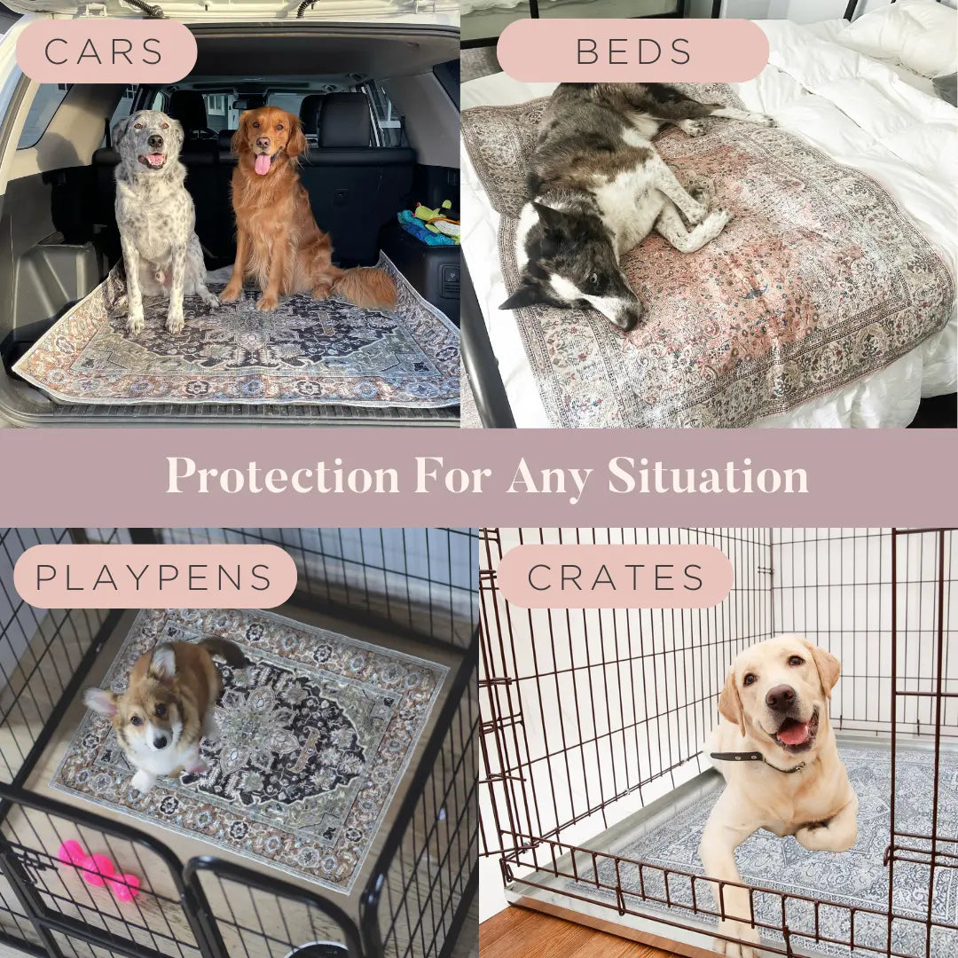 Lovewag Pets Washable Dog Pads - Pack of 2, Eco-Friendly & Leak-Proof Design, Multi-Design Options: Sage Forest, Marmalade Sunshine, Moonlit Night, Rustic Terracotta, 16" X 24" & 36" X 48"& 28" X 41"