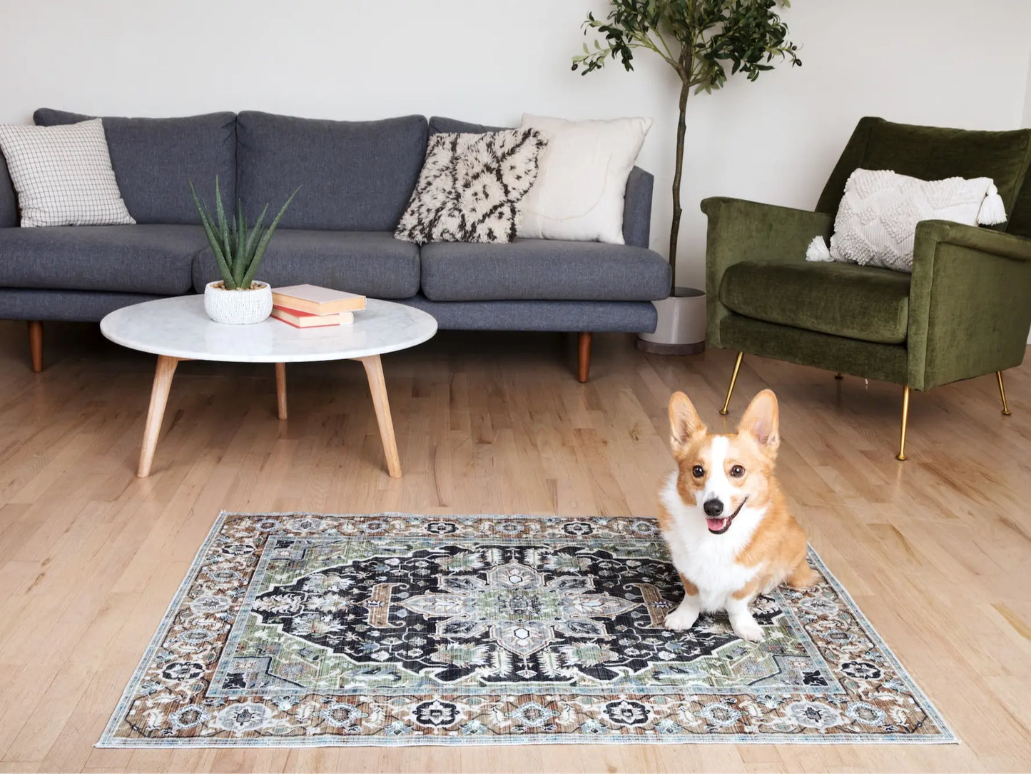 Lovewag Pets Washable Dog Pads - Pack of 2, Eco-Friendly & Leak-Proof Design, Multi-Design Options: Sage Forest, Marmalade Sunshine, Moonlit Night, Rustic Terracotta, 16" X 24" & 36" X 48"& 28" X 41"