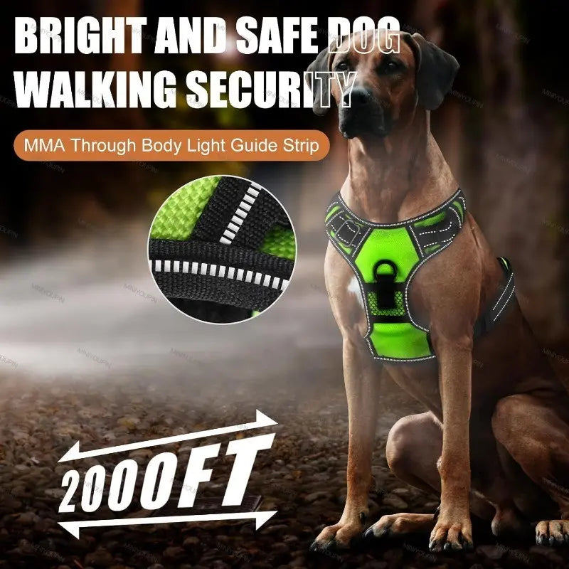 LED Glowing Luminous Dog Harnesses Essential for Dog Walking Safety at Night Dog Vest with Three LED Light Modes Rechargeable Adjustable Safety Harness