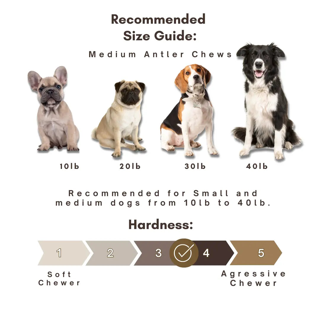 6 Pack - Medium | SPLIT Red Deer Antler Dog Chews
