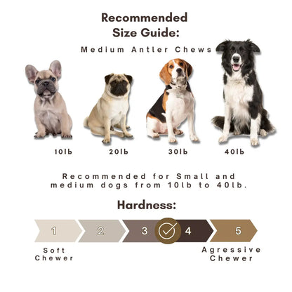 6 Pack - Medium | SPLIT Red Deer Antler Dog Chews