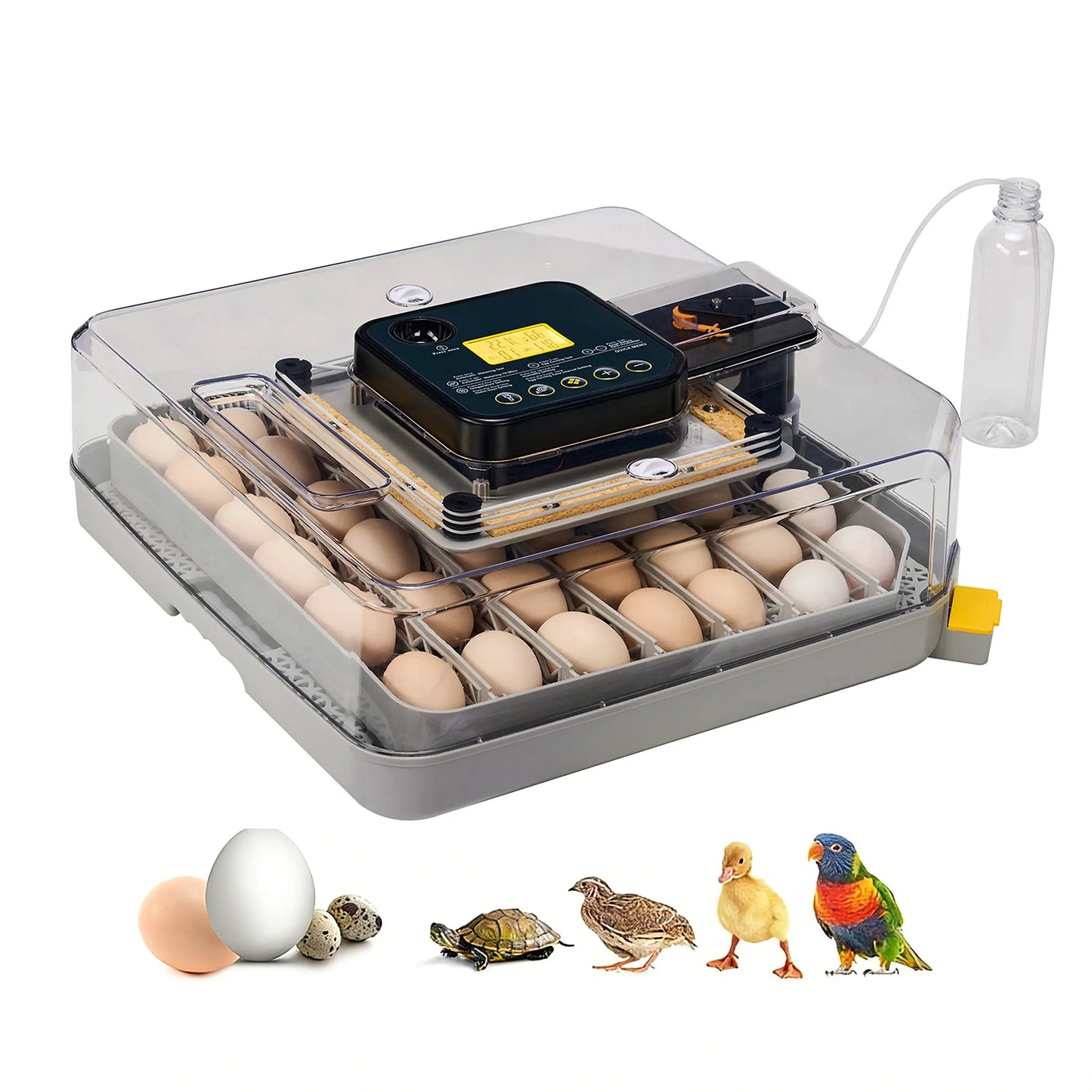 48-Egg Incubator 110V, Fully Automatic with Egg Turner & Temperature/Humidity Control, Clear Lid with LED Candler and Storage, for Hatching Chicken, Duck, Quail Eggs