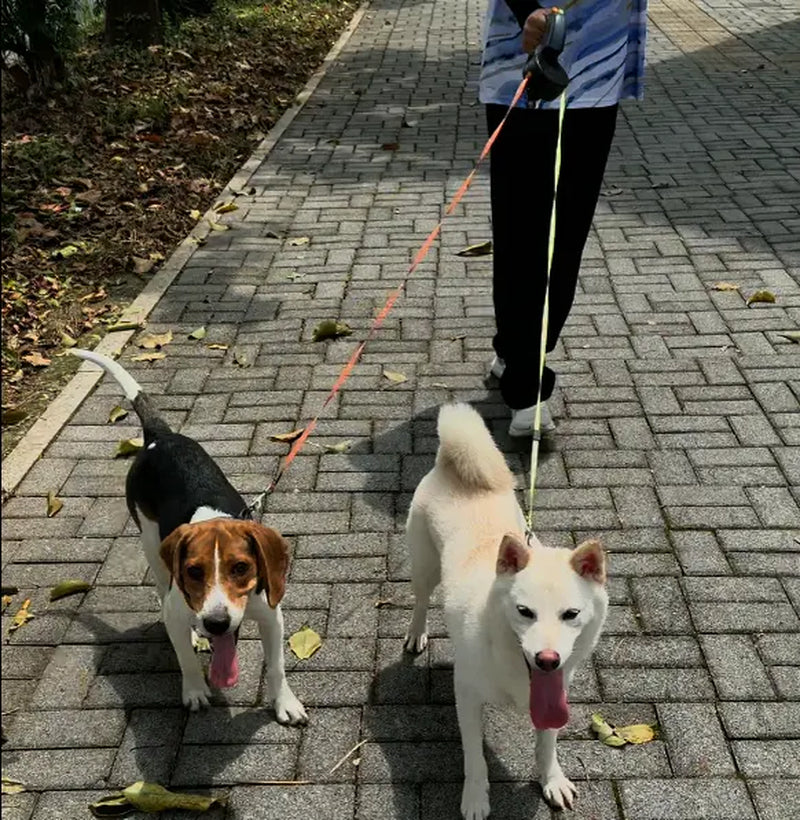 Tangle Free 2 Dog Leash for Smal & Medium Dogs