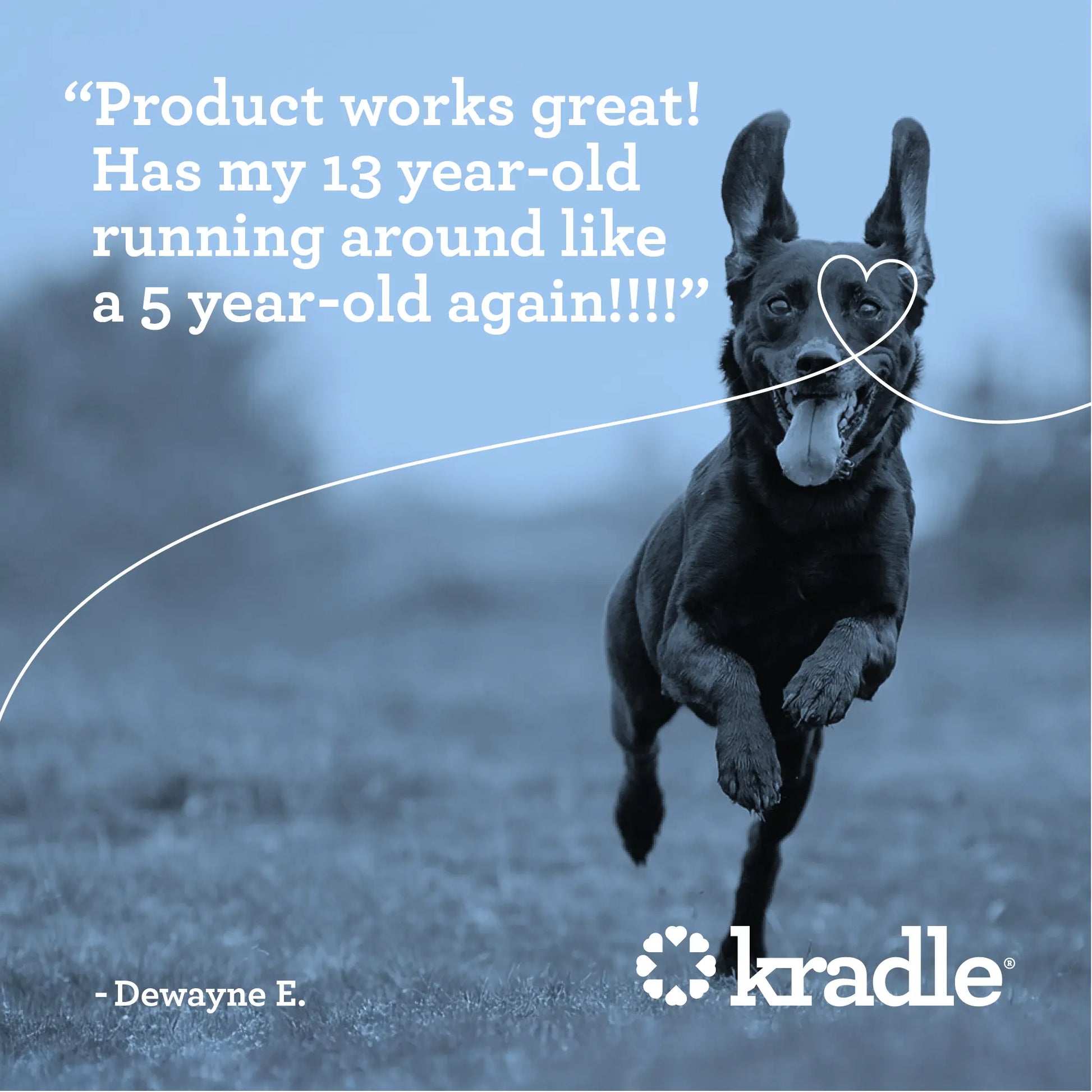 Kradle Hip & Joint Duo for Dogs | Hip & Joint Chews (75 Ct) with Hip and Joint Spray (4 Oz)