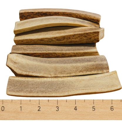 6 Pack - Medium | SPLIT Red Deer Antler Dog Chews