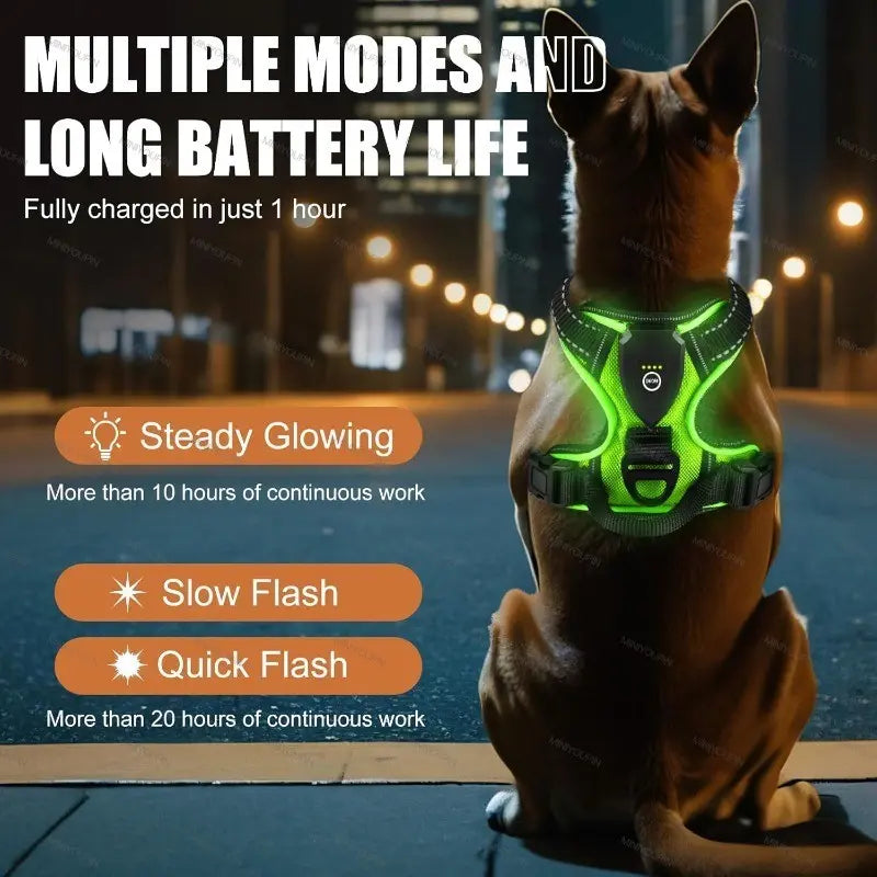 LED Glowing Luminous Dog Harnesses Essential for Dog Walking Safety at Night Dog Vest with Three LED Light Modes Rechargeable Adjustable Safety Harness