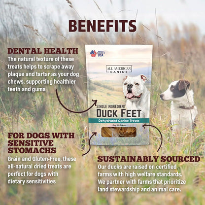 Duck Feet Dogs Chew Treats 20 CT – Single Ingredient, Natural, Dehydrated & Digestible – 20 COUNT of Healthy, Crunchy, Low-Fat, High-Protein Chew for Joint Support & Dental Health – Made in USA