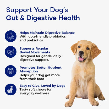 Aniwell Gastroquel for Dogs: a New Age Natural Solution for Gut Health, Diaerhea & Bowel Support